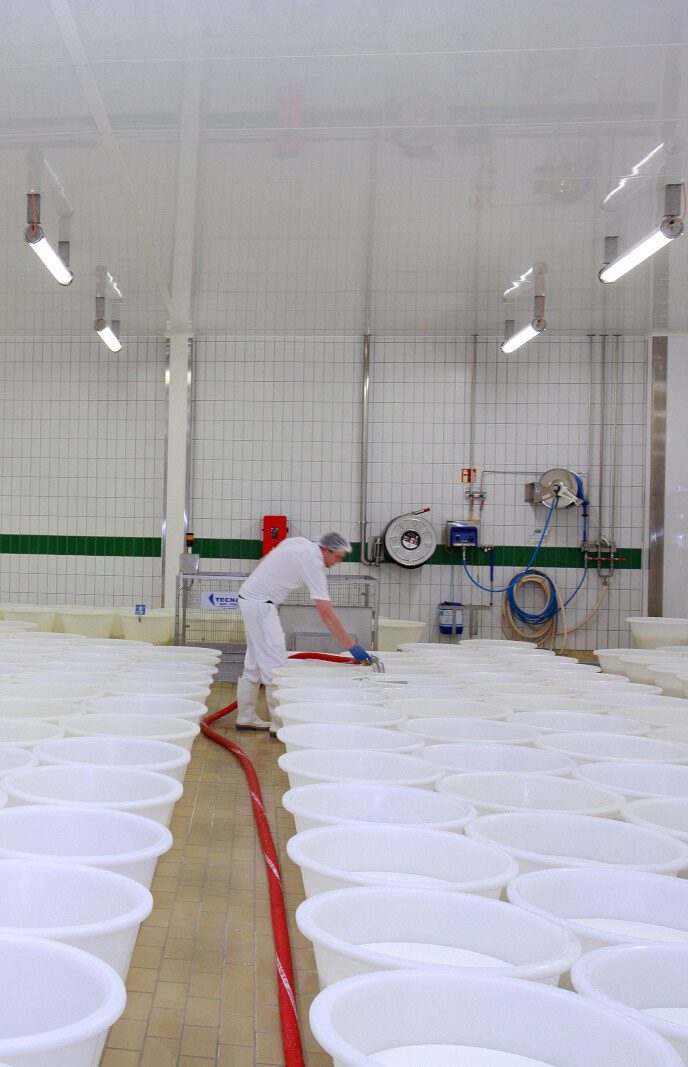 Lebensmittel und Getränke